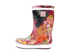 Aigle